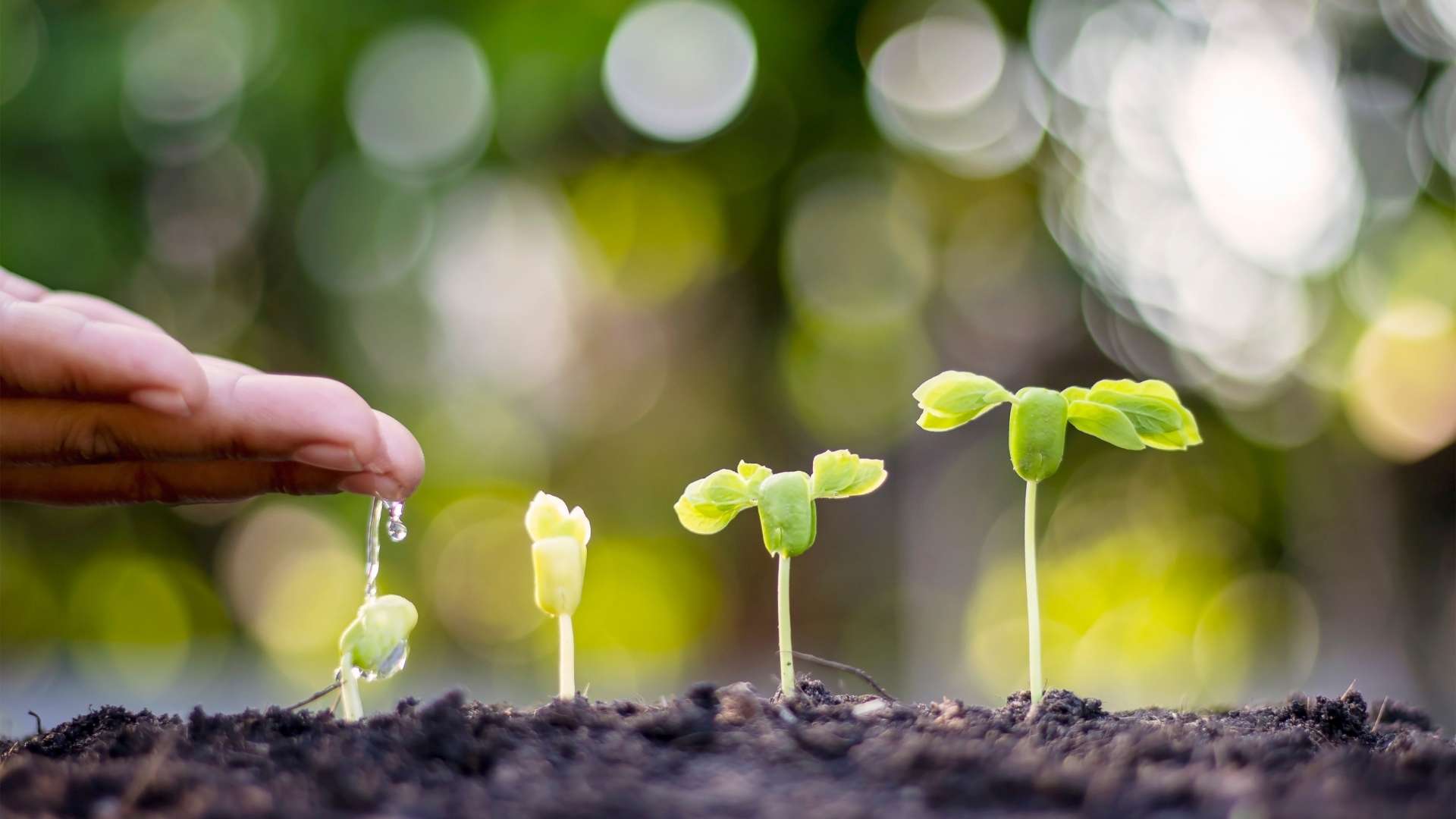 kapil Testimonial Image